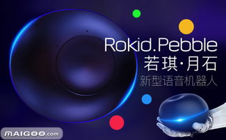 Rokid家庭智能機器人 AI賦能美好生活的創新先鋒